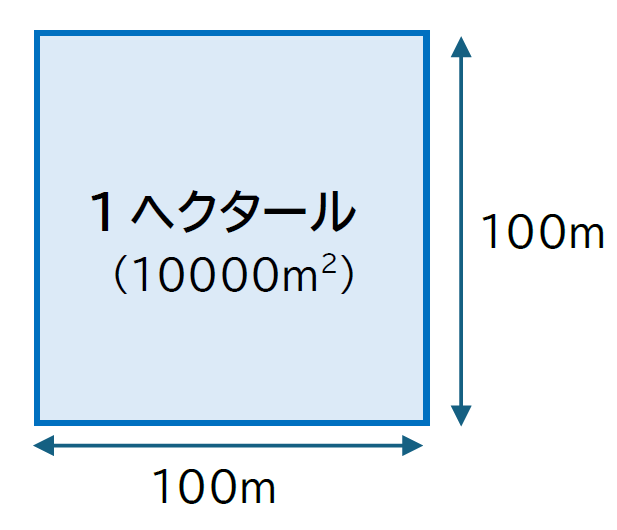 平方メートルとヘクタールの関係