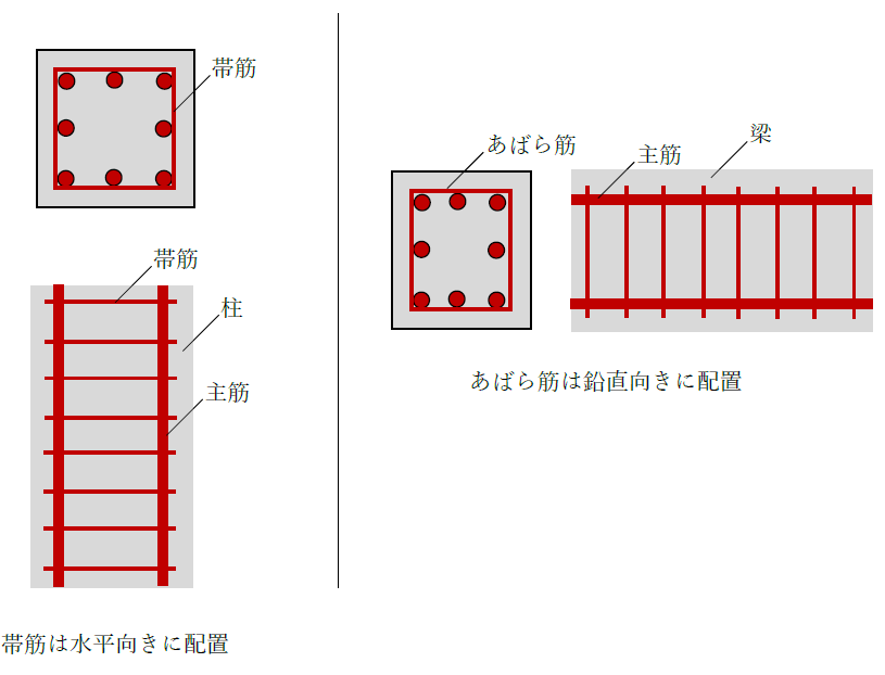 帯筋とあばら筋の向き