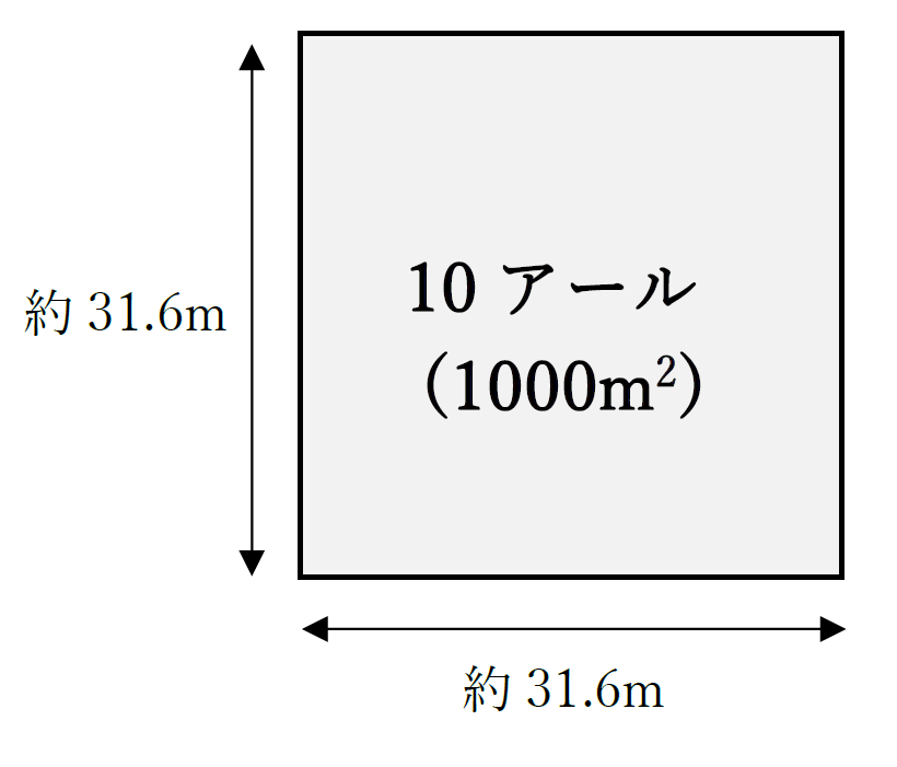 10アール