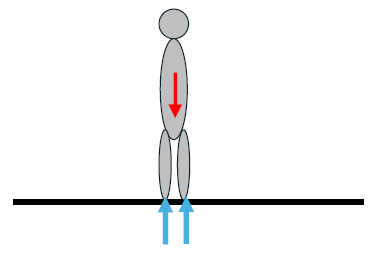 人が受ける反力